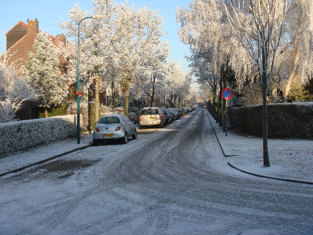 DSC02686