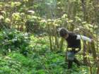 paaseierenzoeken200915_small.jpg
