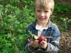paaseierenzoeken200920_small.jpg