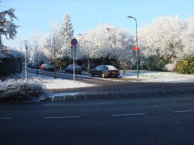 DSC02679