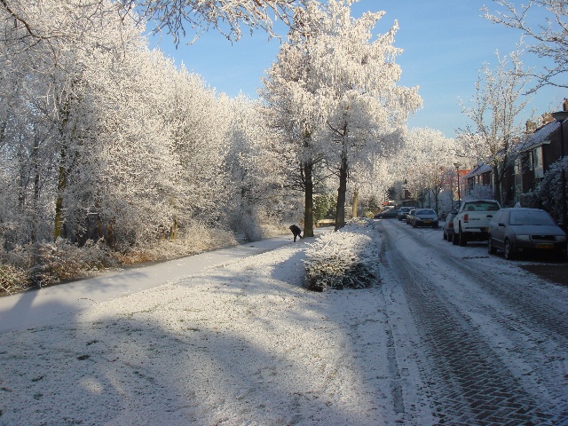 DSC02675