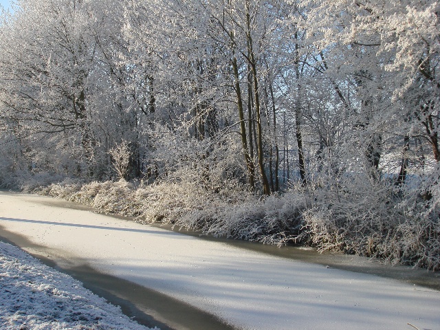 DSC02676