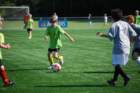 dsc_0160_small.jpg