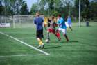 dsc_0249_small.jpg