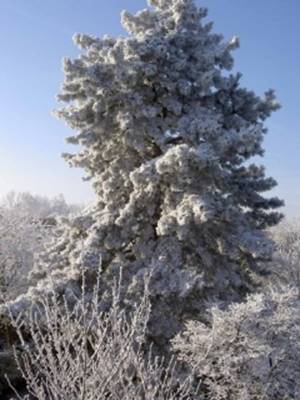 photo22